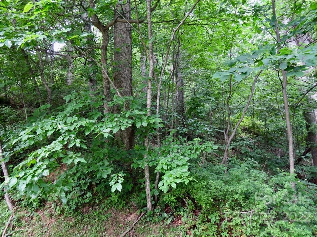 492 Freemont Drive #77 - Photo 16
