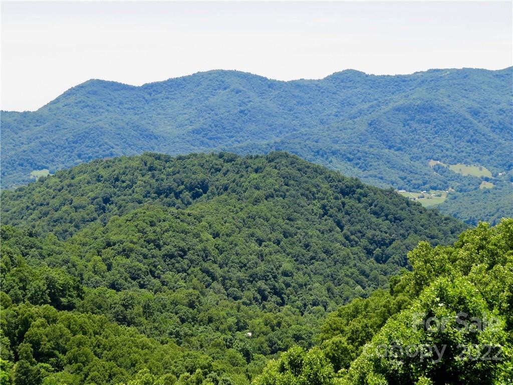 492 Freemont Drive #77 - Photo 19