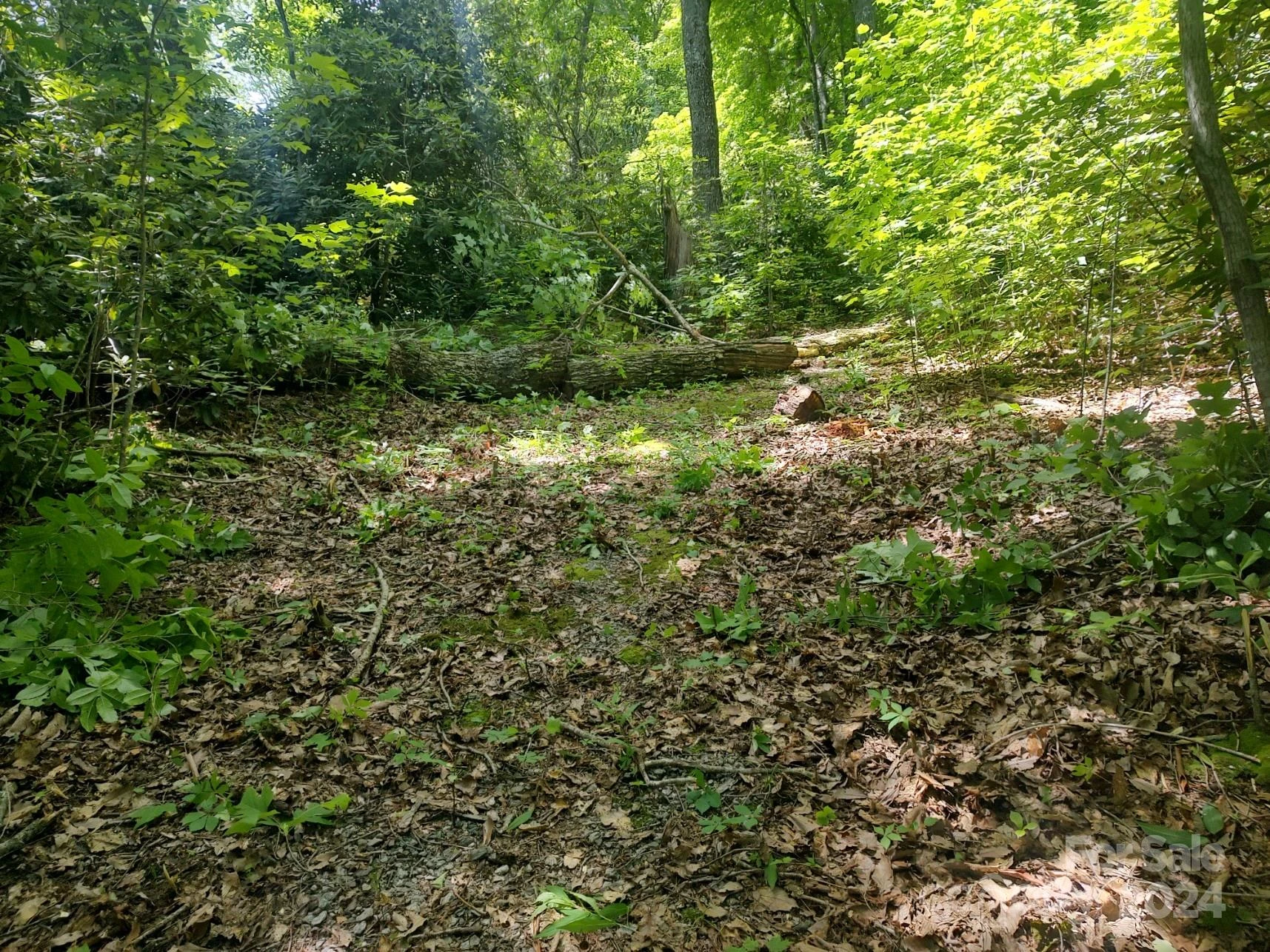 314 Burnside Trail #44