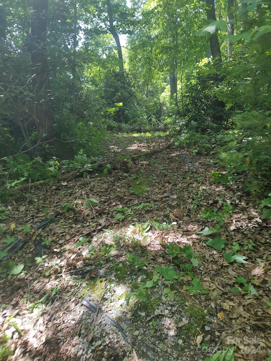 314 Burnside Trail #44 - Photo 2