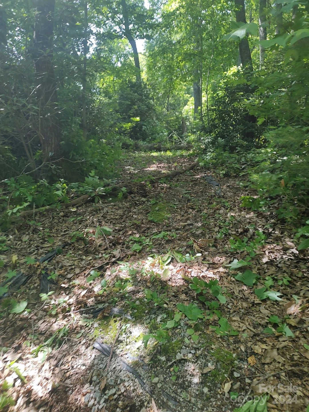 314 Burnside Trail #44 - Photo 2