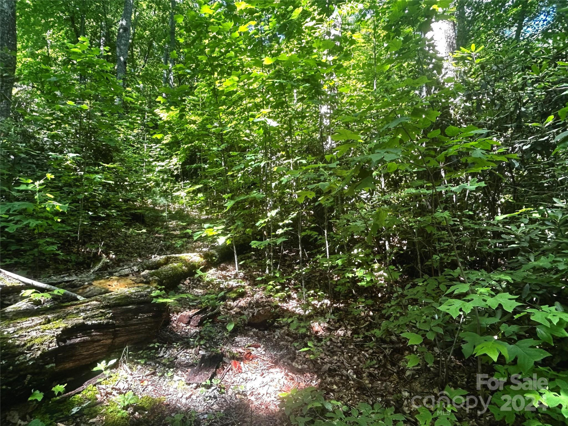 314 Burnside Trail #44 - Photo 11