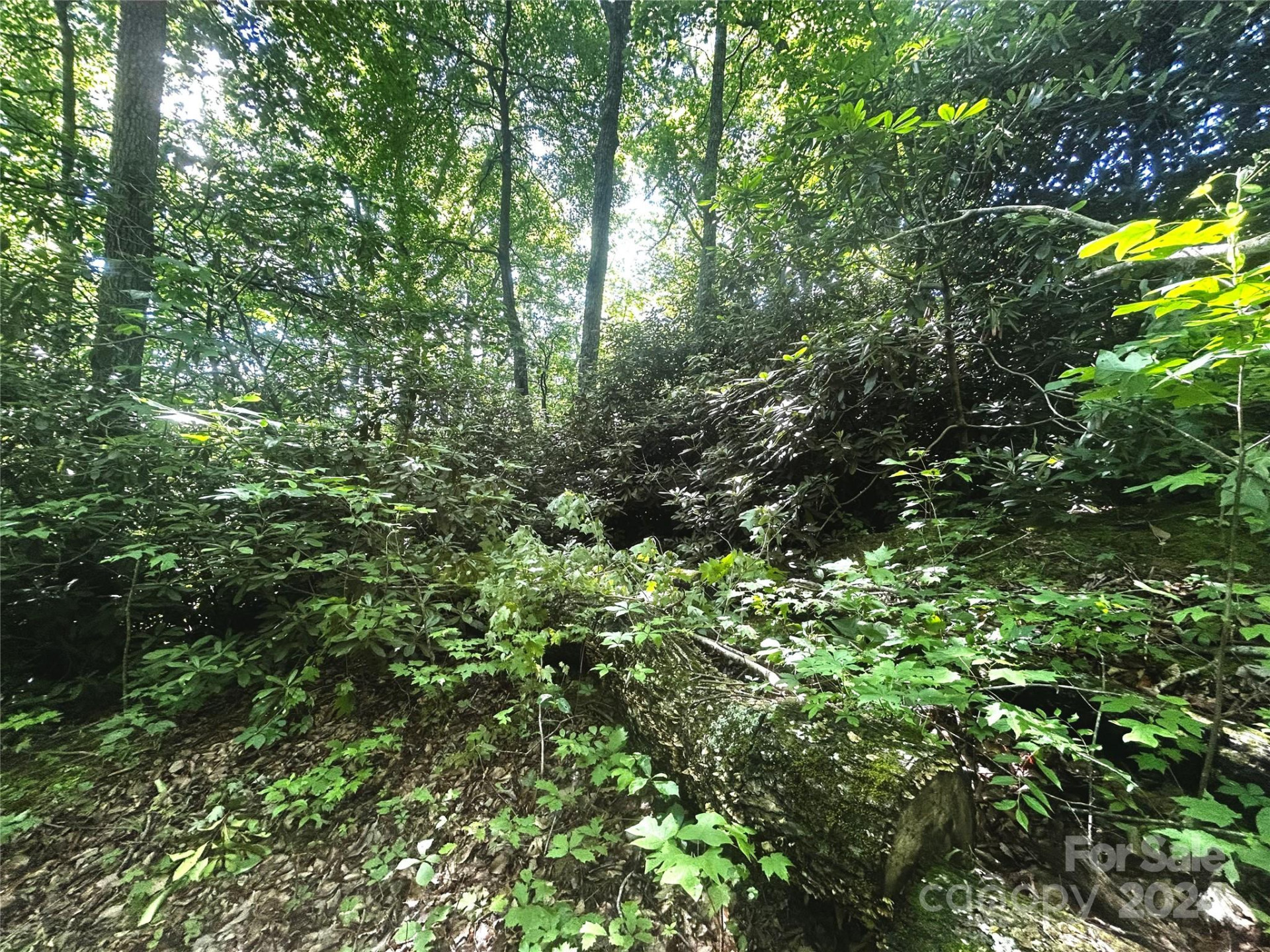 314 Burnside Trail #44 - Photo 12