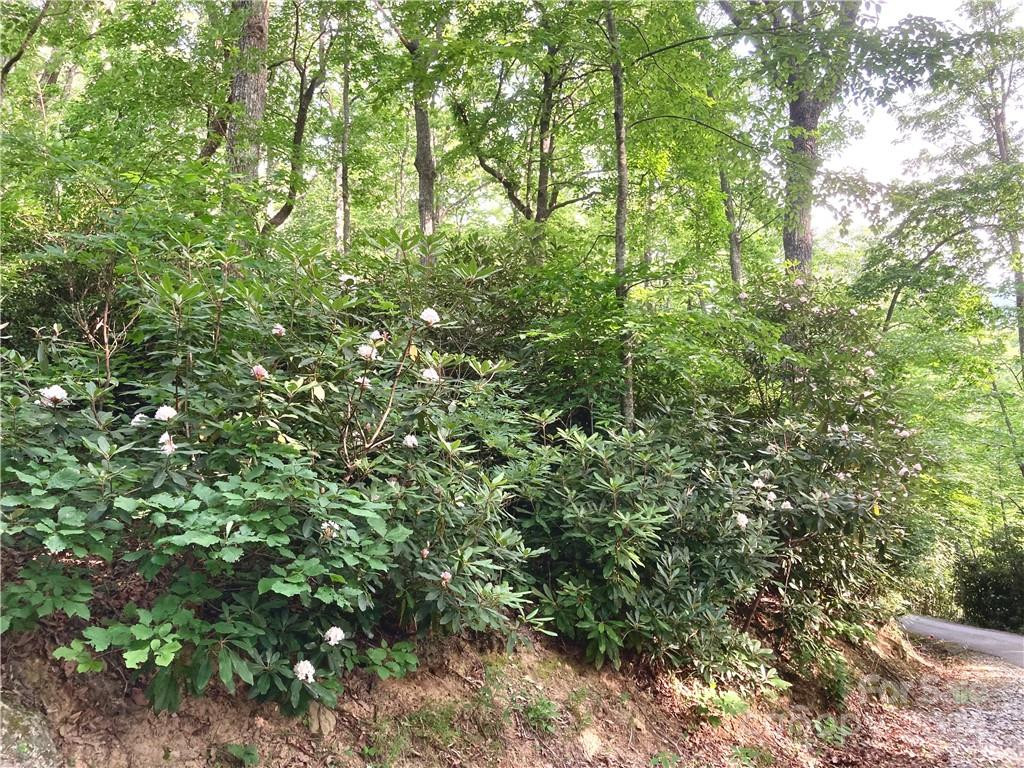 314 Burnside Trail #44 - Photo 13