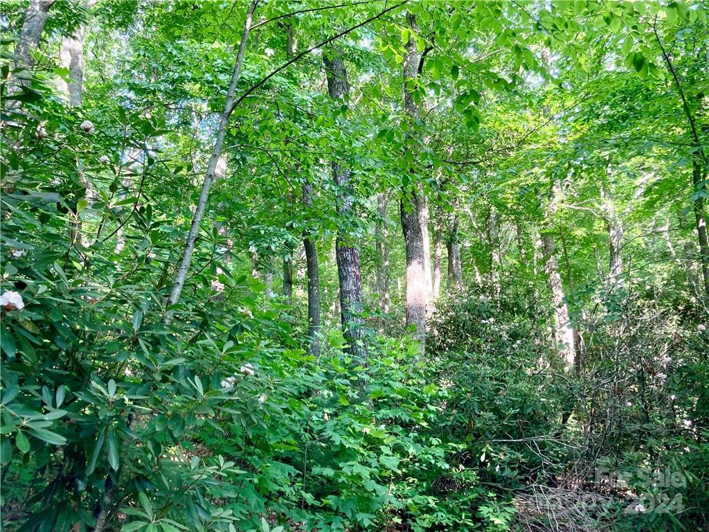 314 Burnside Trail #44 - Photo 14