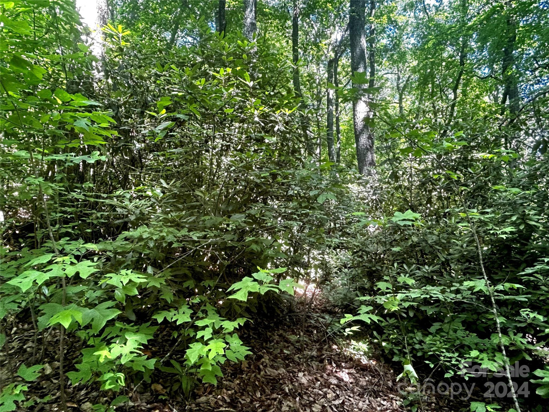 314 Burnside Trail #44 - Photo 15