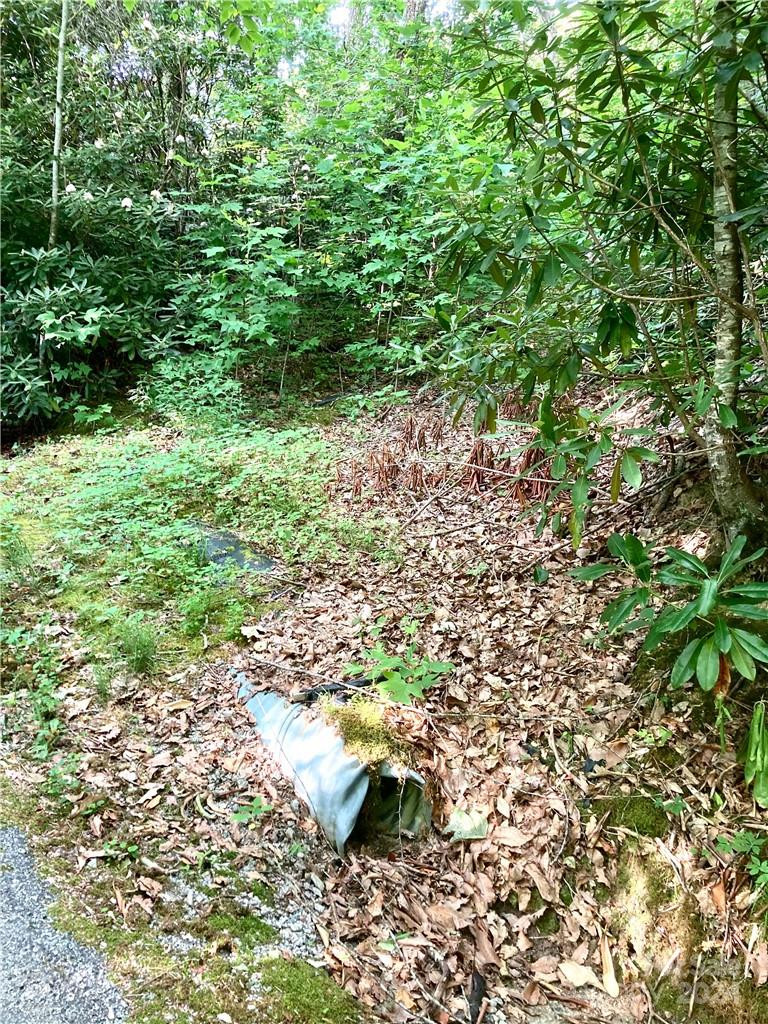 314 Burnside Trail #44 - Photo 16