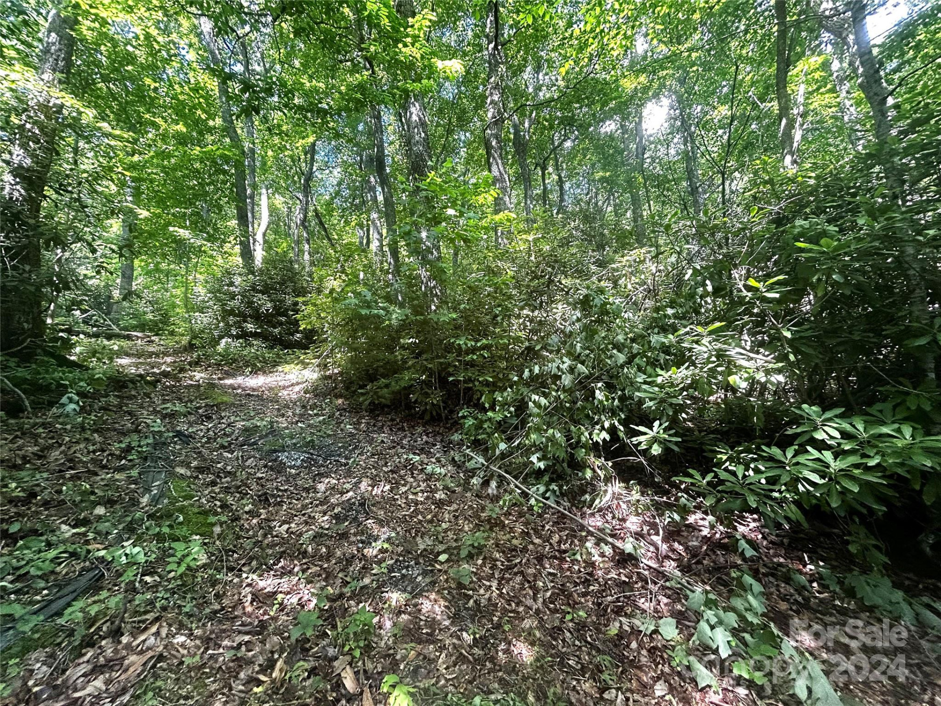 314 Burnside Trail #44 - Photo 17