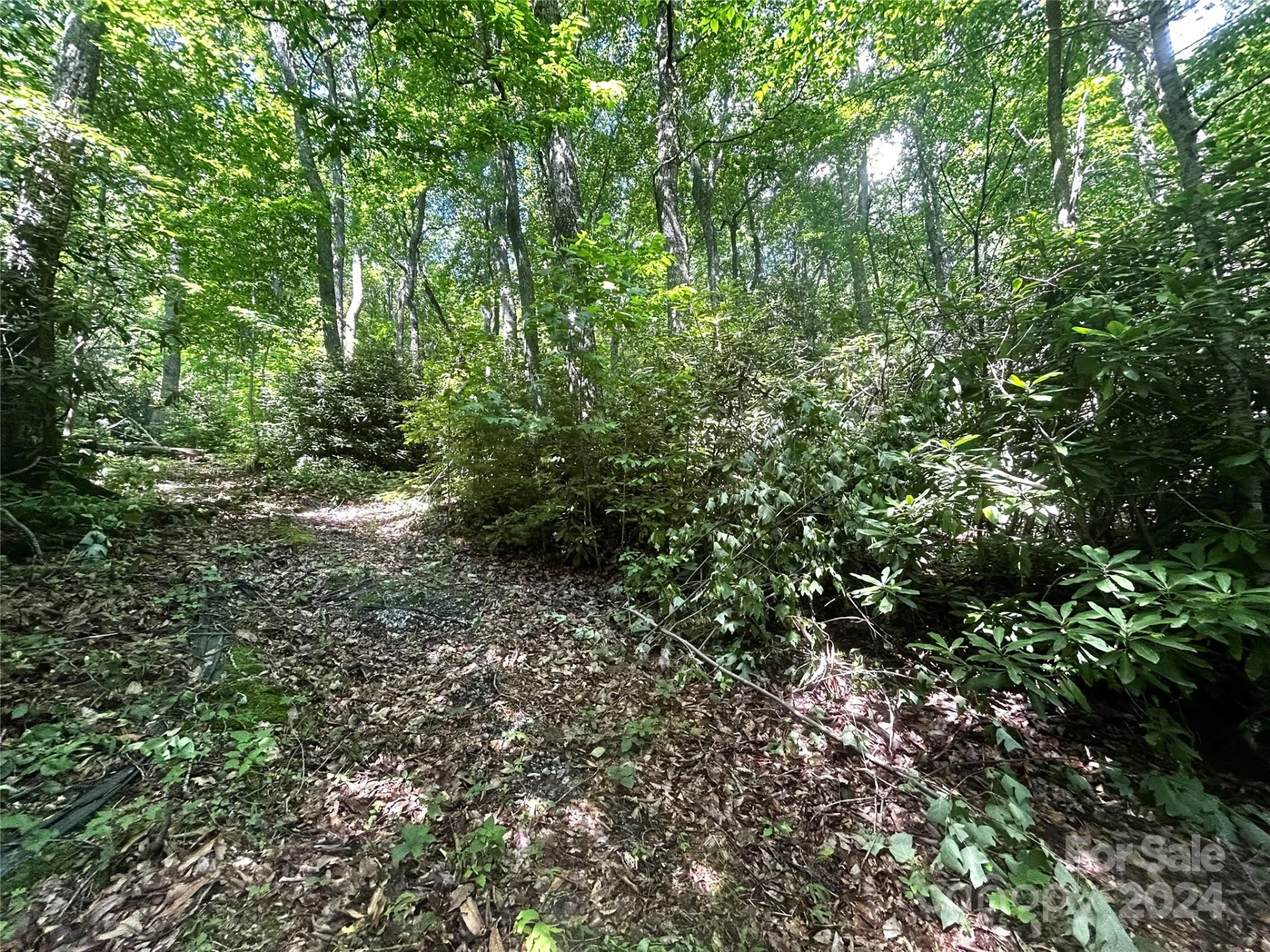 314 Burnside Trail #44 - Photo 17