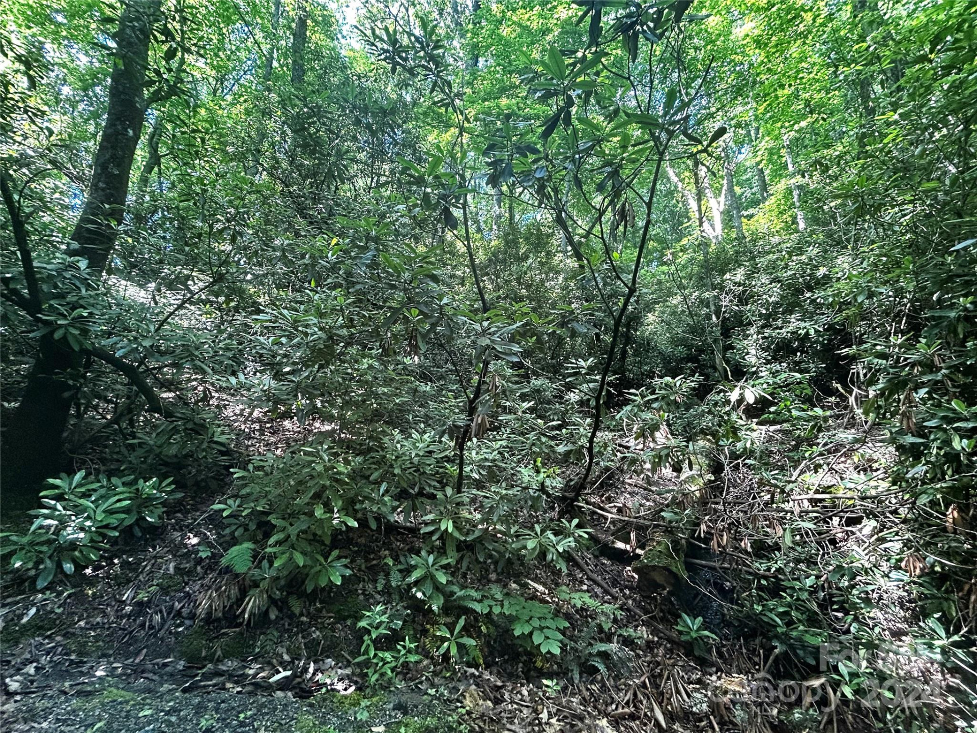 314 Burnside Trail #44 - Photo 18