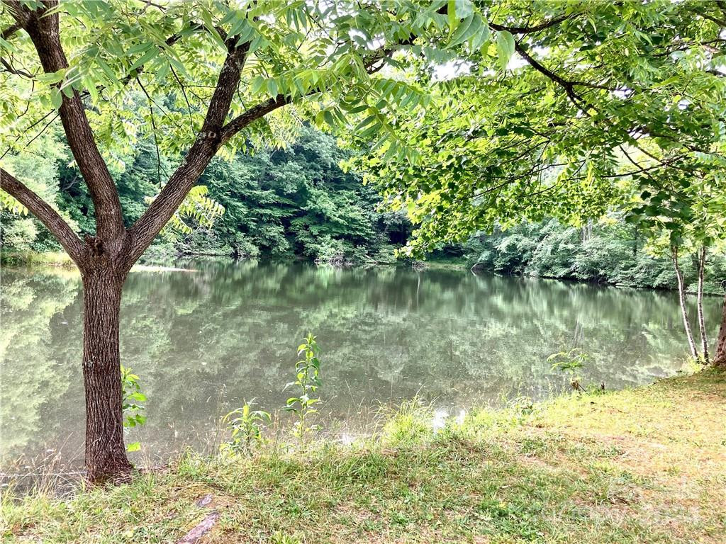 314 Burnside Trail #44 - Photo 20