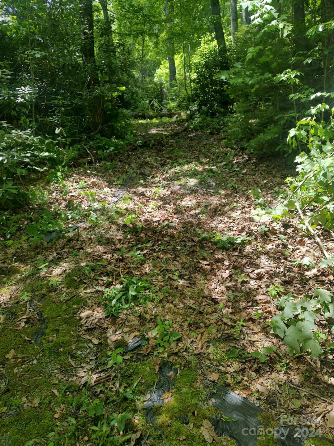 314 Burnside Trail #44 - Photo 3