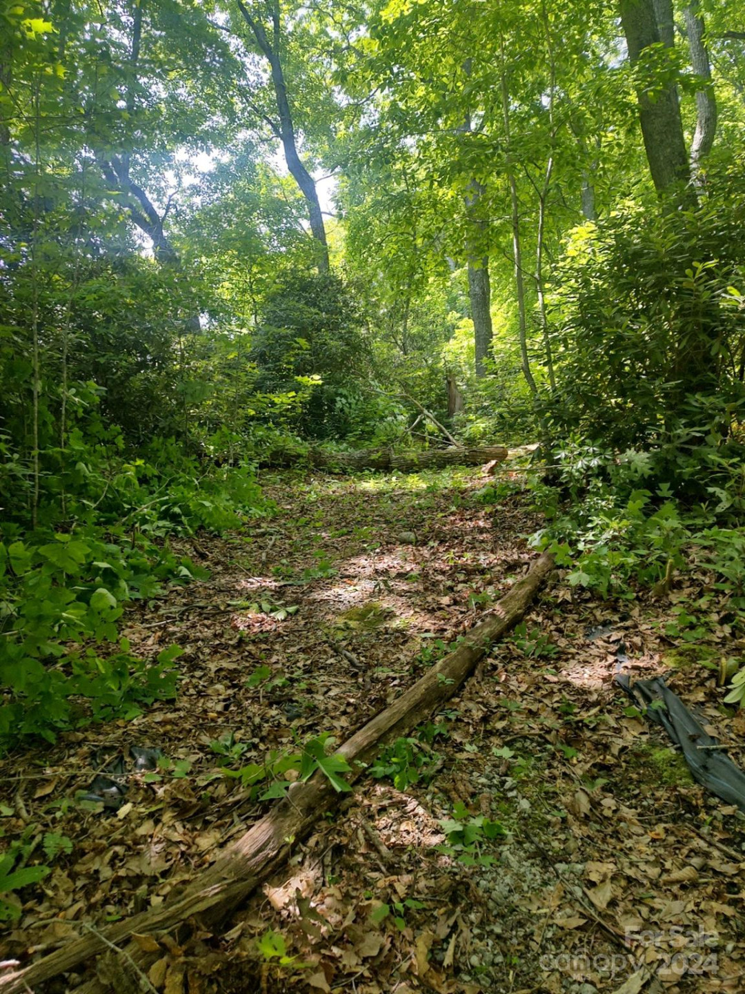 314 Burnside Trail #44 - Photo 4