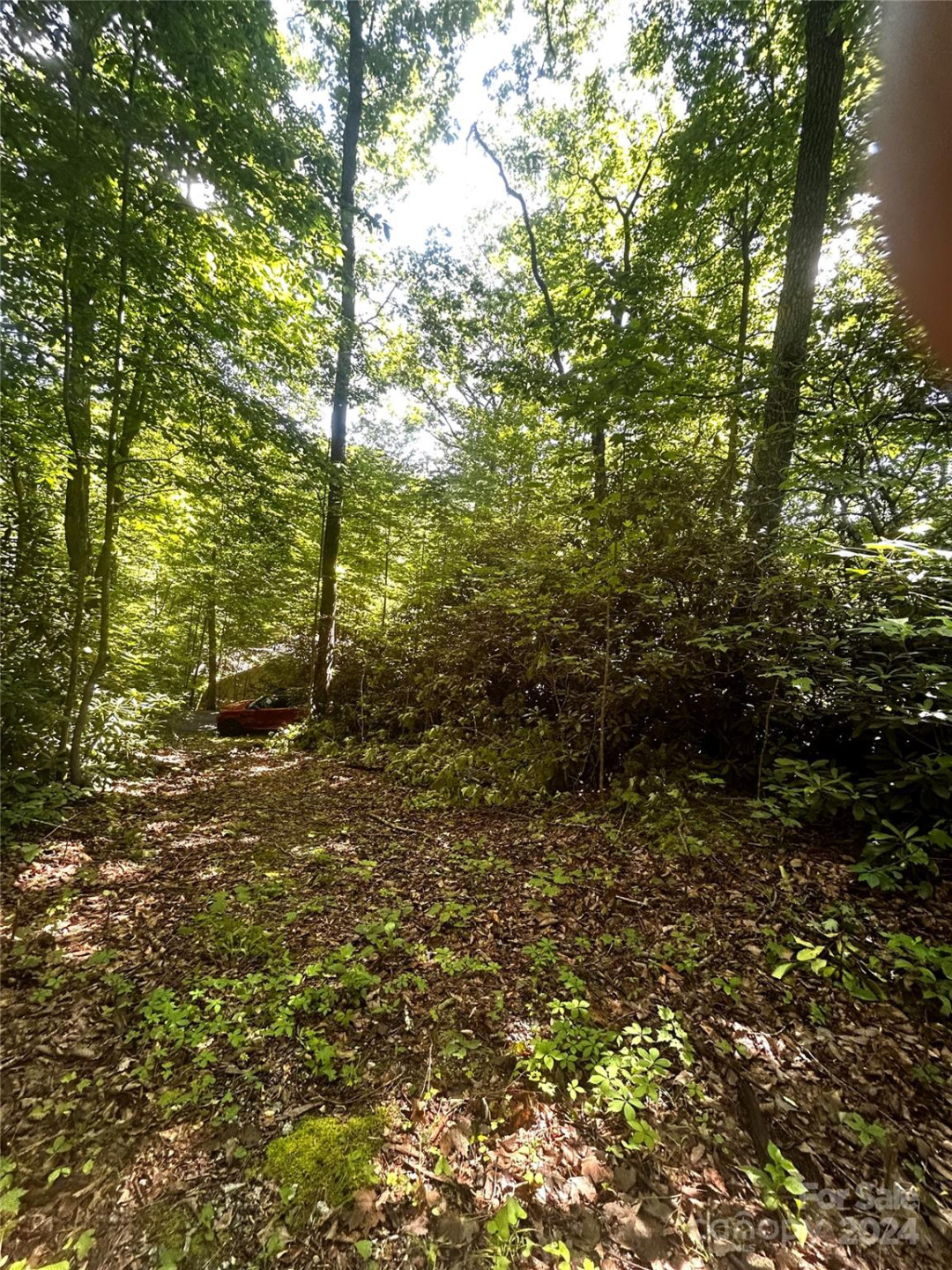 314 Burnside Trail #44 - Photo 5