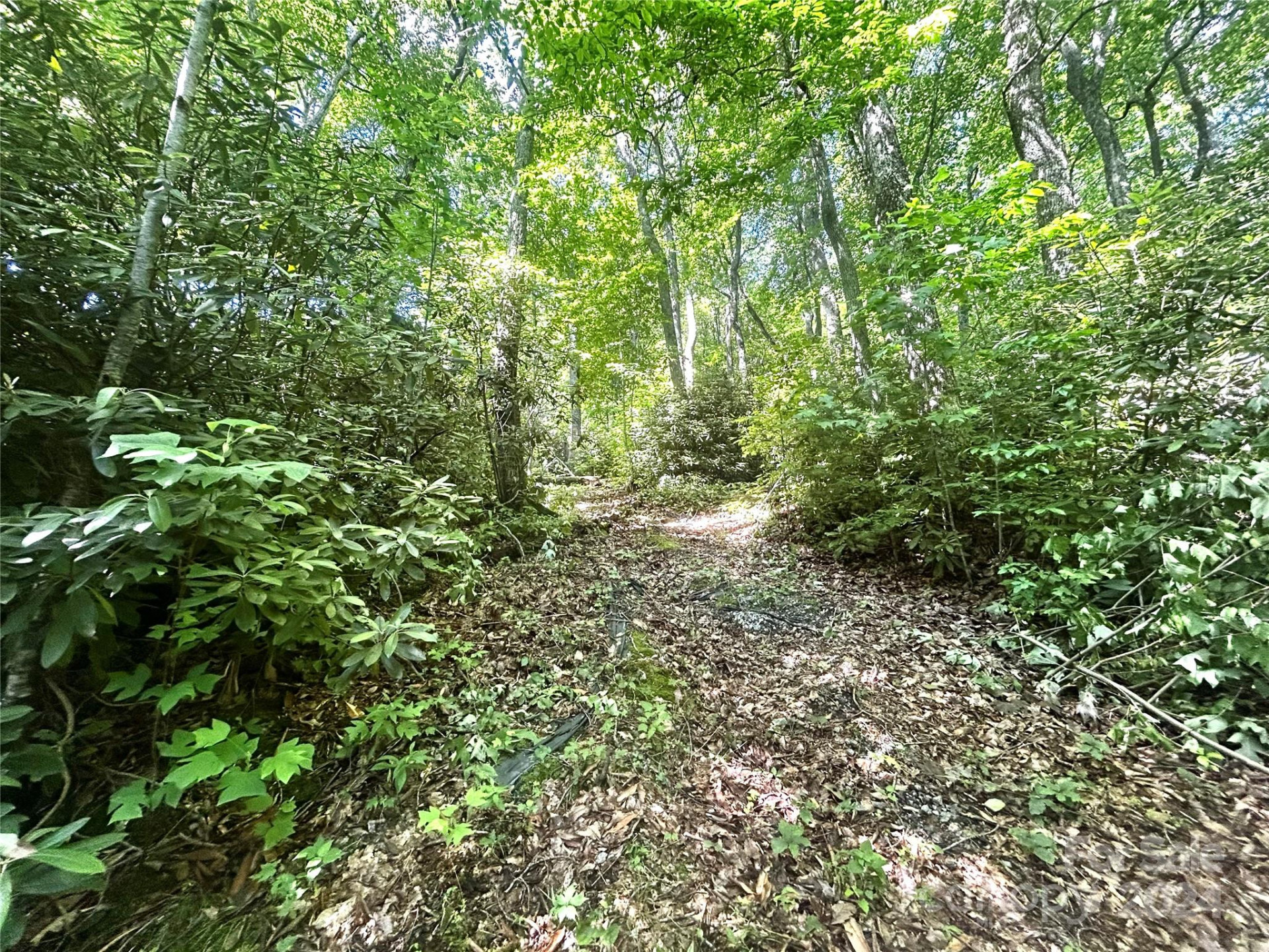 314 Burnside Trail #44 - Photo 6