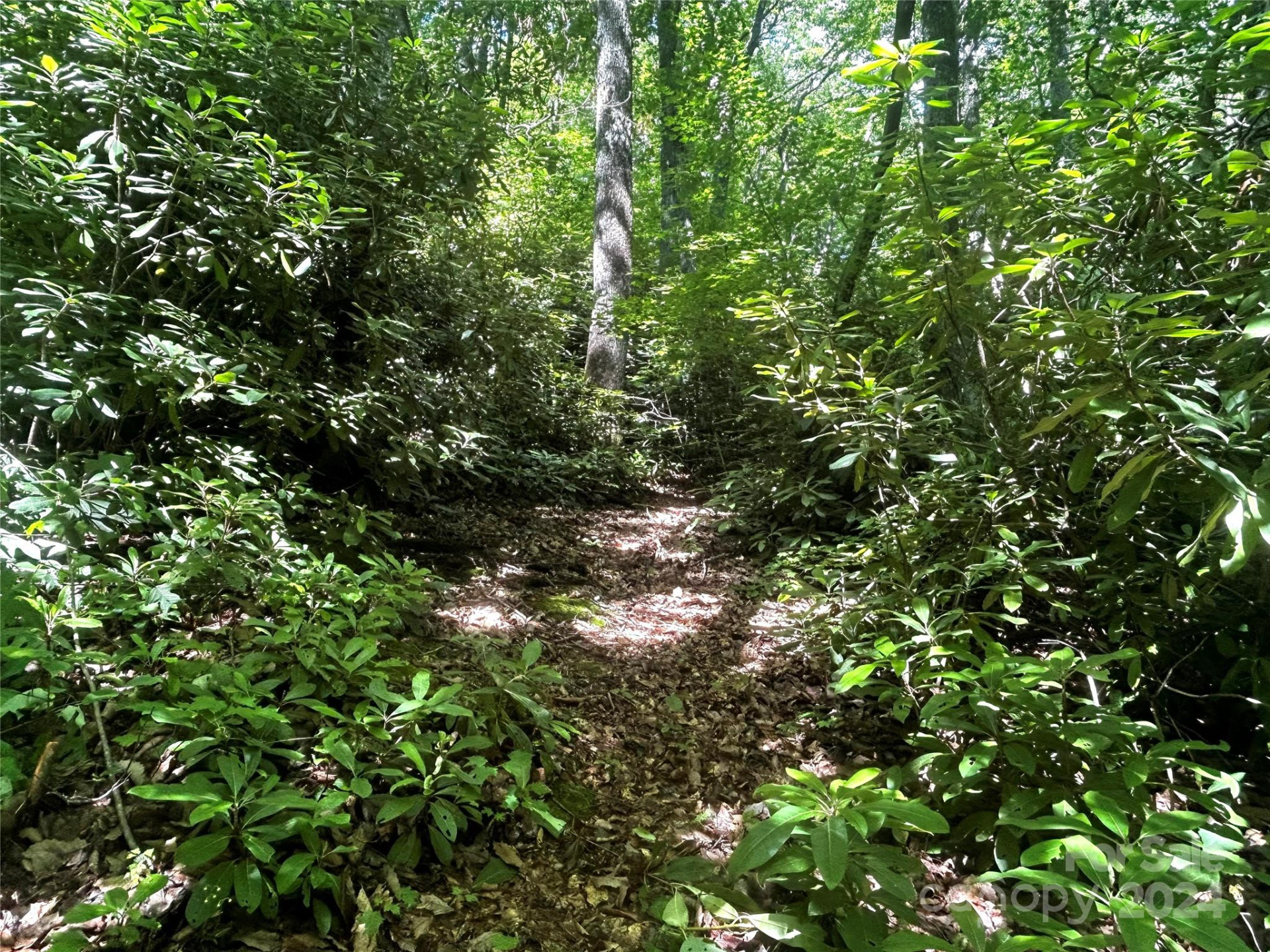 314 Burnside Trail #44 - Photo 7