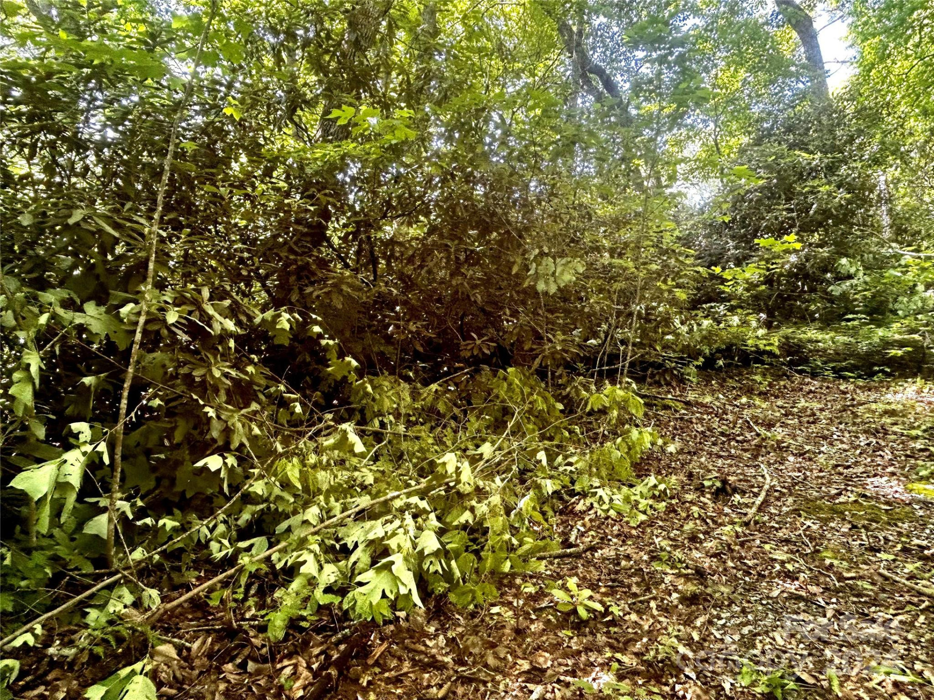 314 Burnside Trail #44 - Photo 8