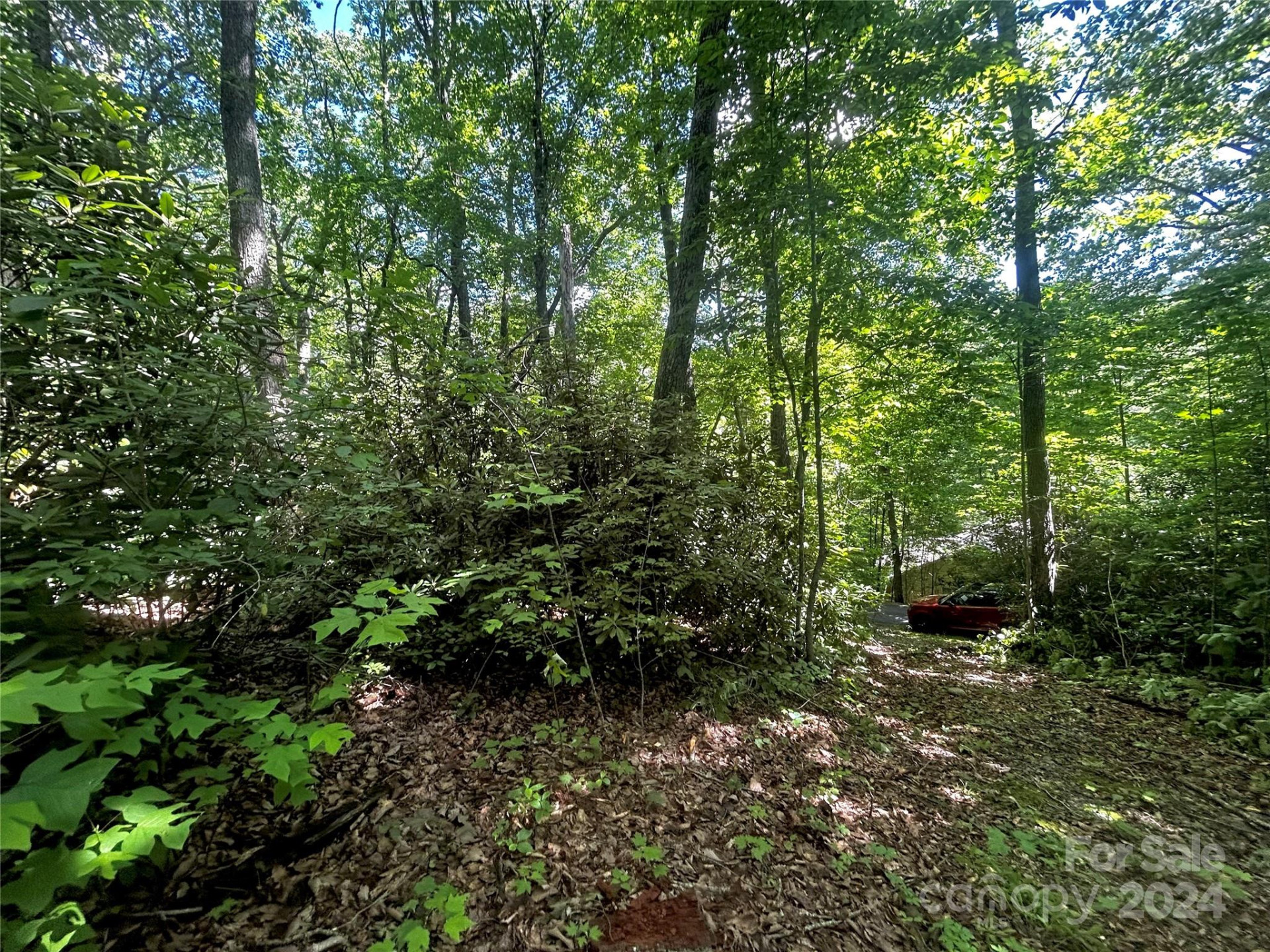 314 Burnside Trail #44 - Photo 9