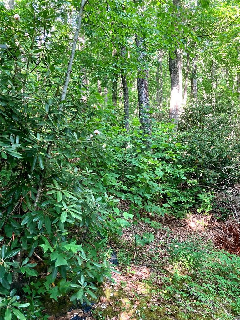 314 Burnside Trail #44 - Photo 10