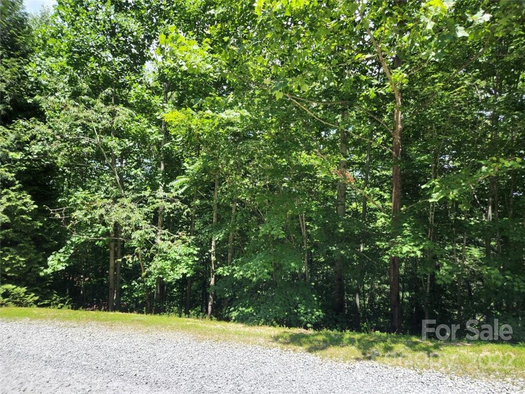 00 Summit Landing Drive #3 - Photo 6