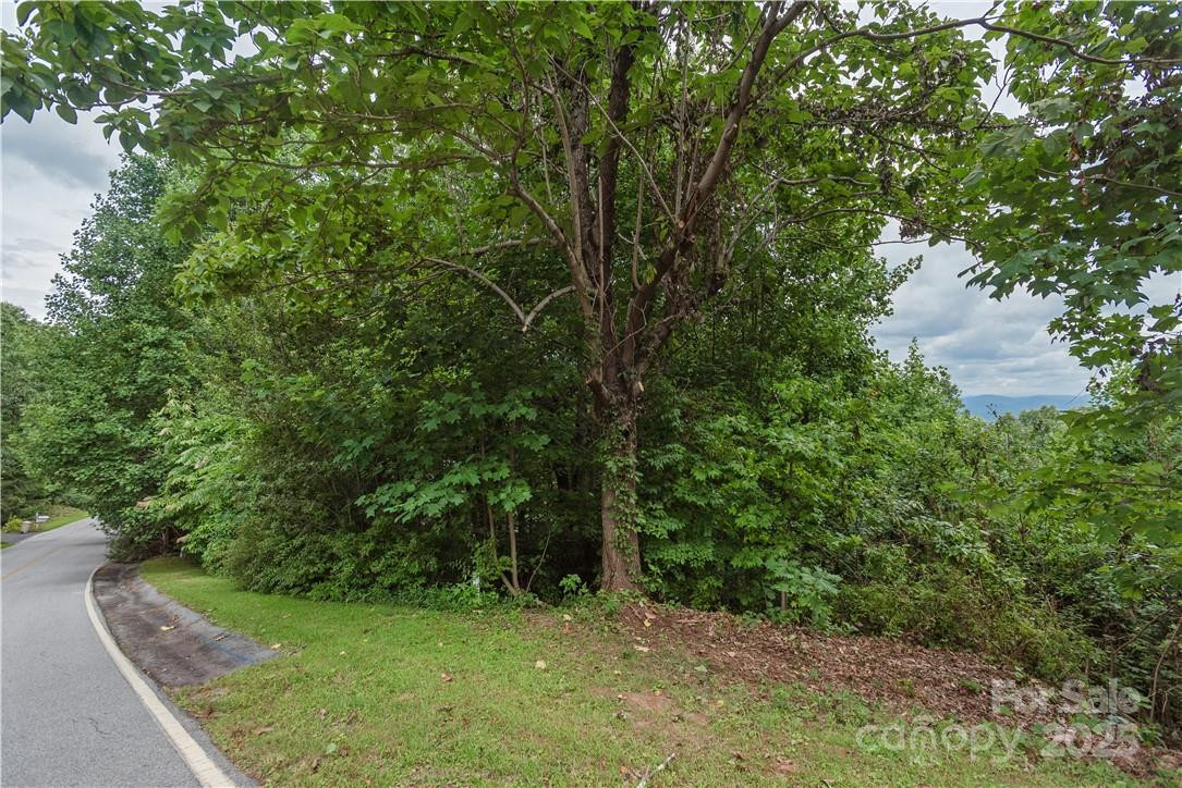 103 Berry Creek Drive #22 - Photo 5