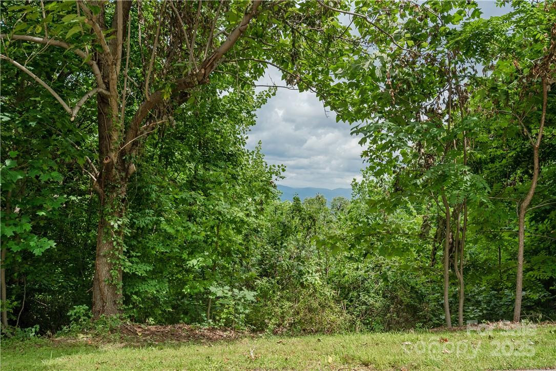 103 Berry Creek Drive #22 - Photo 7