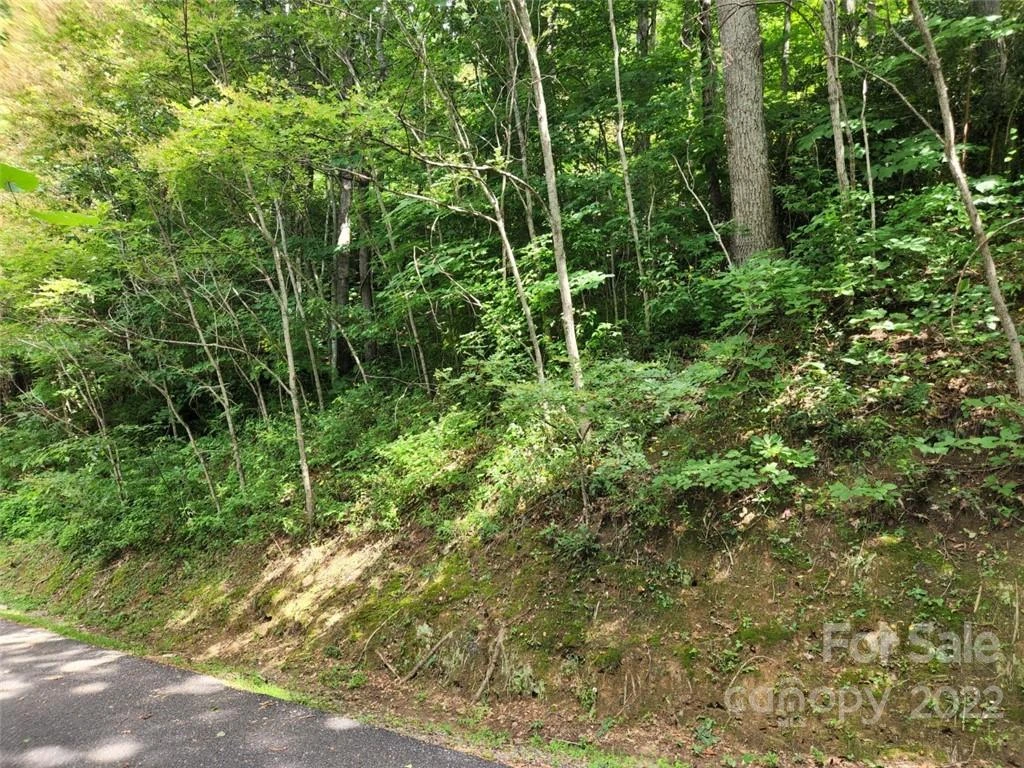 00 Heavenview Point #120 - Photo 2