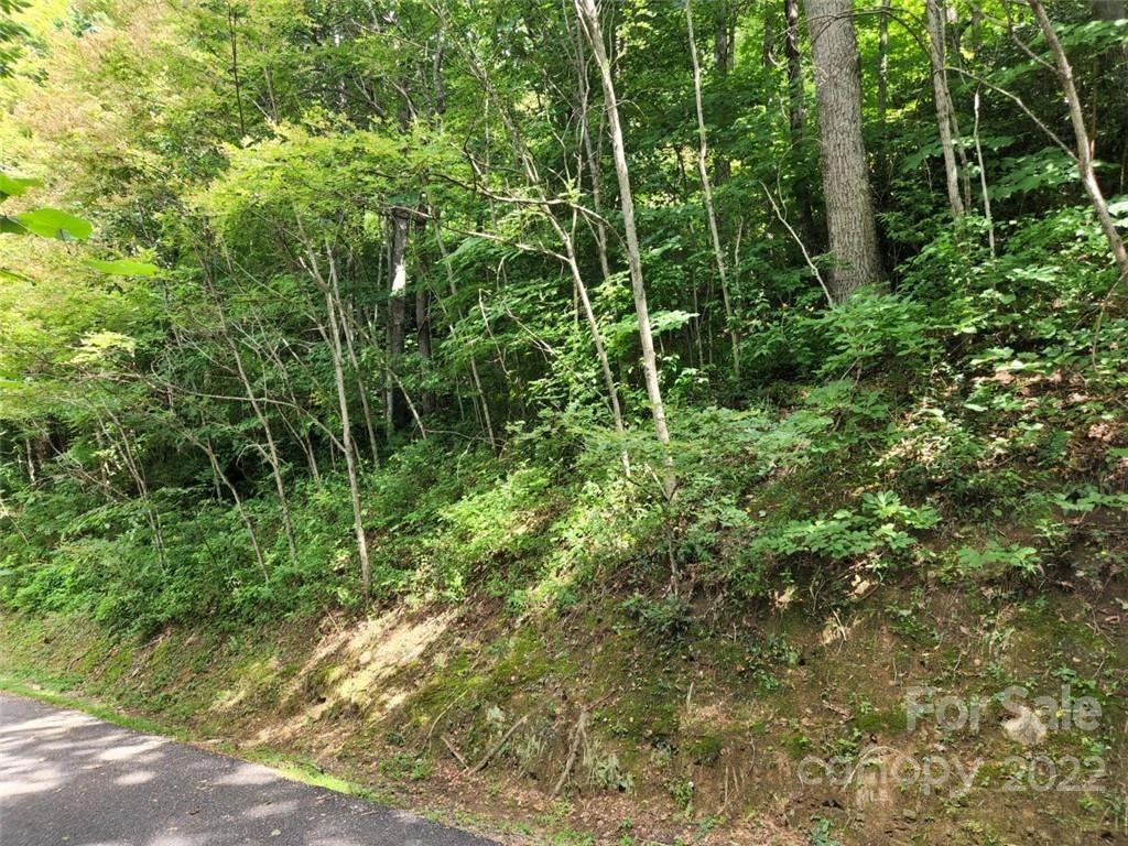 00 Heavenview Point #120 - Photo 4