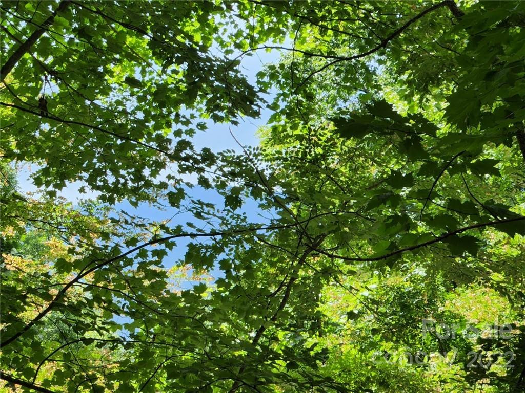 00 Heavenview Point #120 - Photo 6