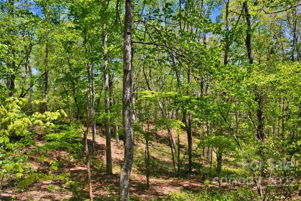 0 Hearthstone Drive #73 - Photo 3