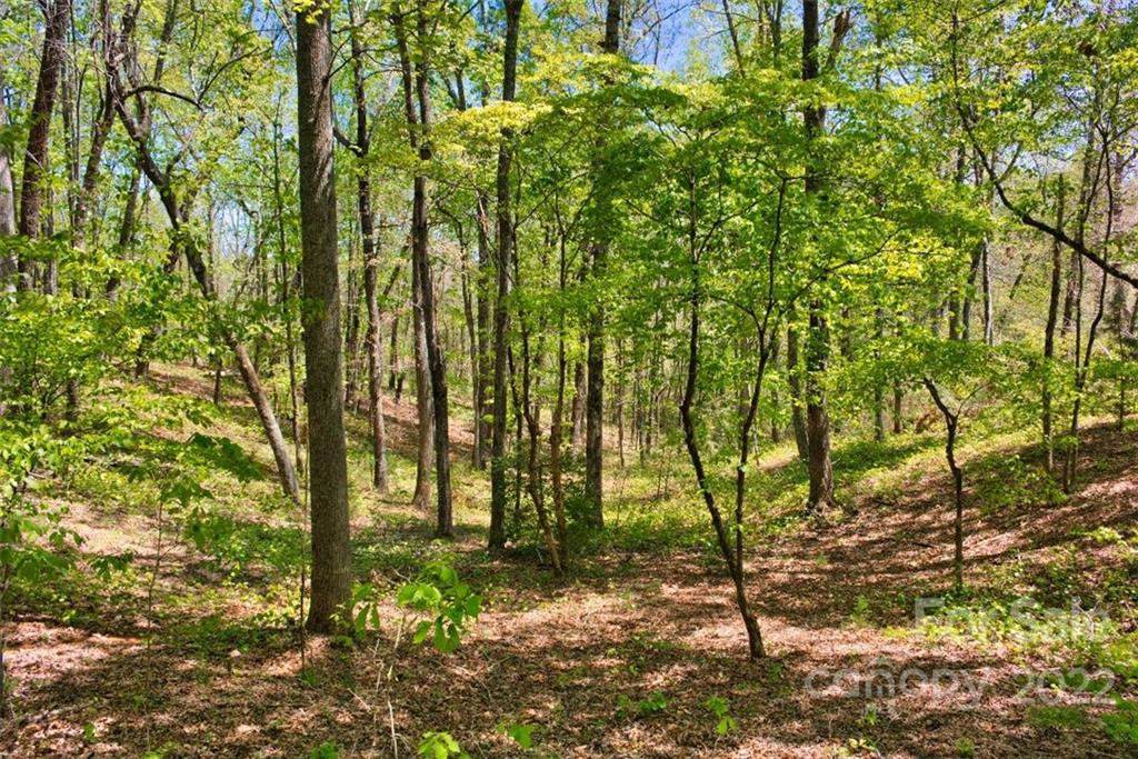 0 Hearthstone Drive #73 - Photo 4