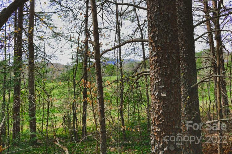 0 Westridge Drive #87