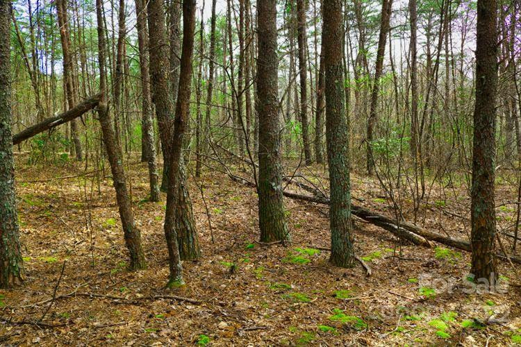 0 Westridge Drive #87 - Photo 2