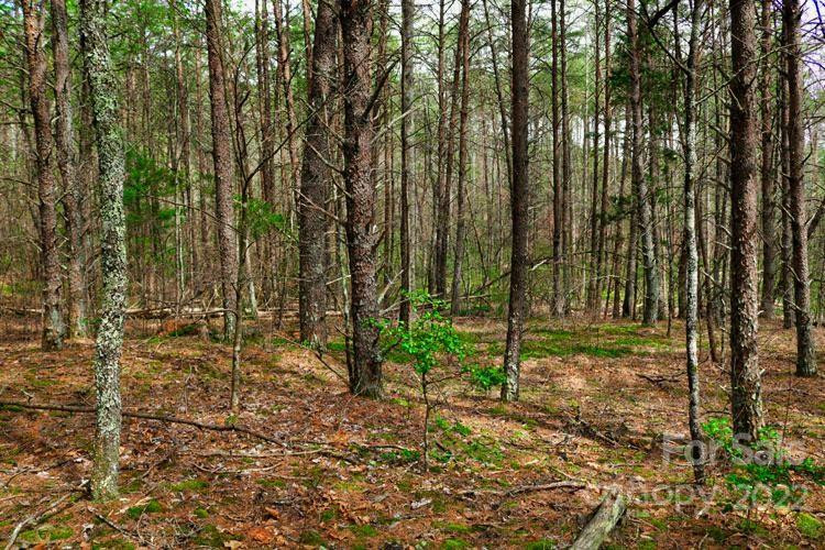 0 Westridge Drive #87 - Photo 3