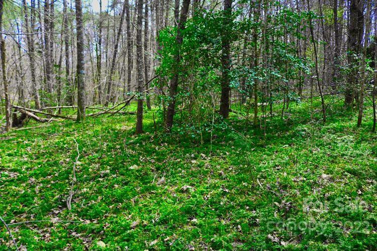 0 Westridge Drive #87 - Photo 4