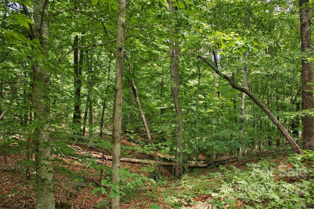 0 Midnight Pass #337 - Photo 2