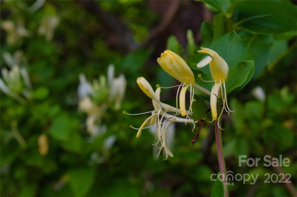 0 Midnight Pass #337 - Photo 5