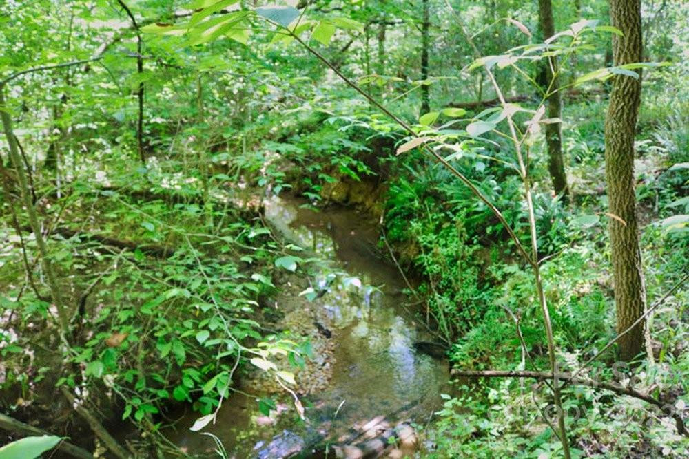 0 Woodstock Lane #166