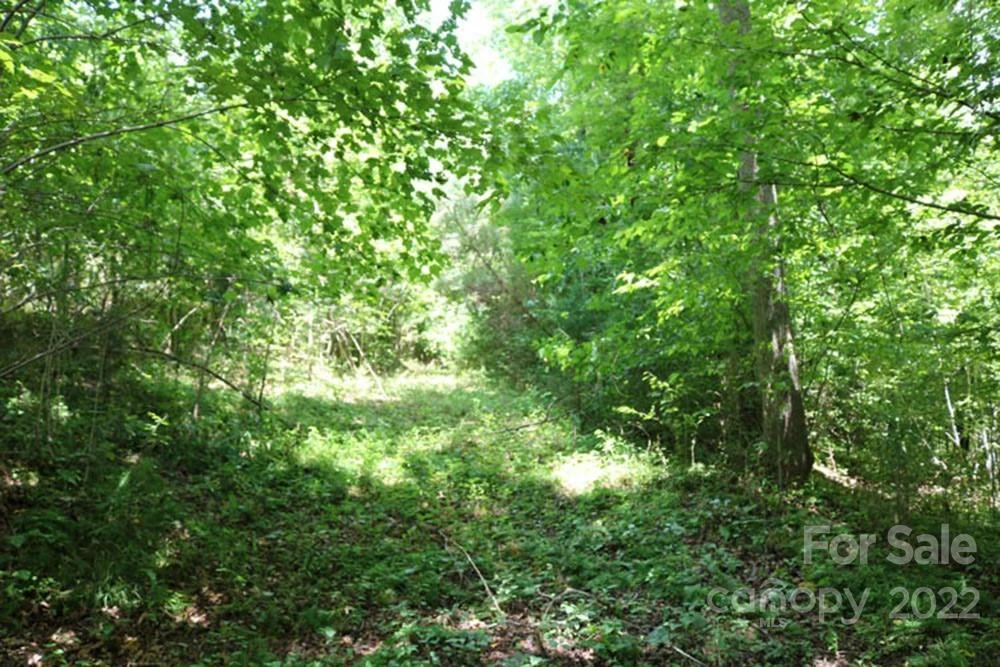 0 Woodstock Lane #166 - Photo 2