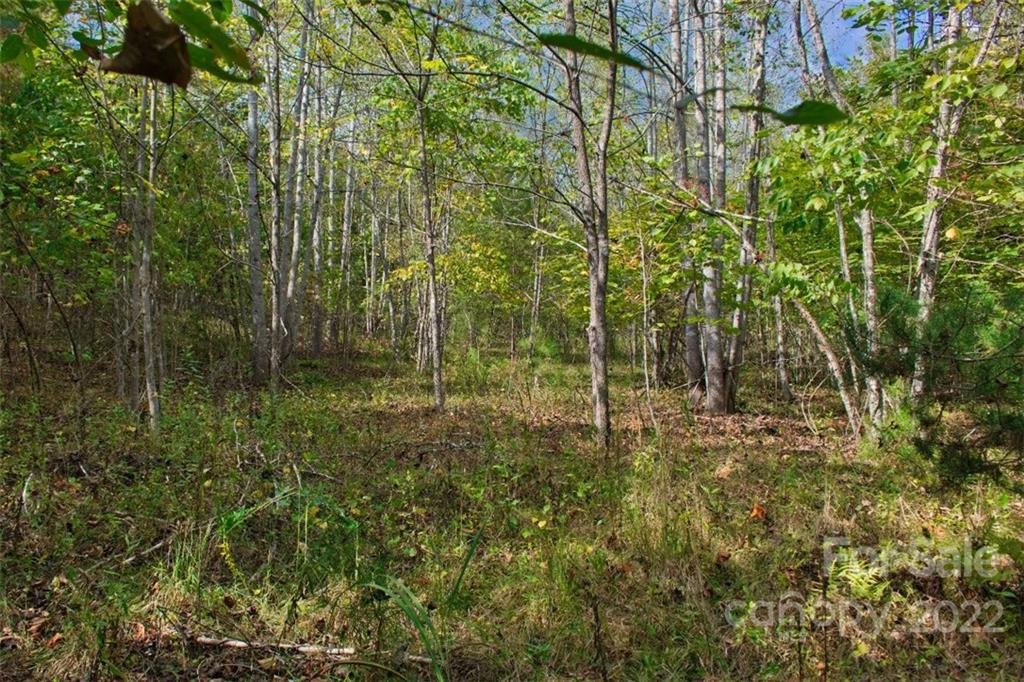 0 Chimney Creek Lane #194