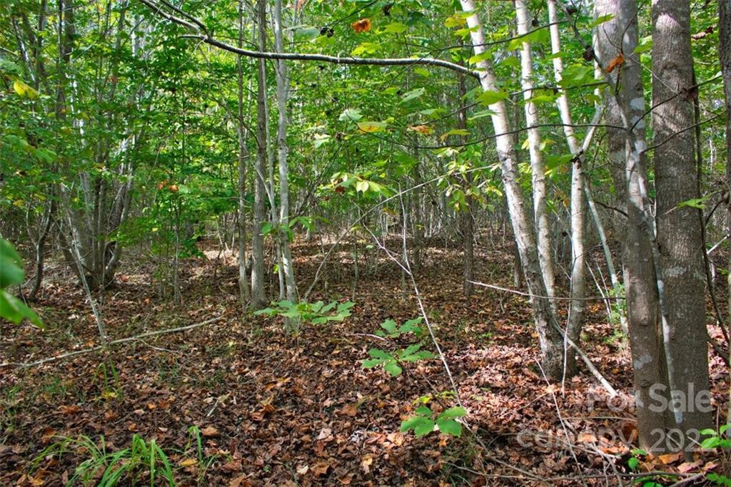 0 Chimney Creek Lane #194 - Photo 2