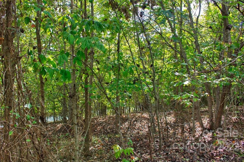 0 Chimney Creek Lane #194 - Photo 3