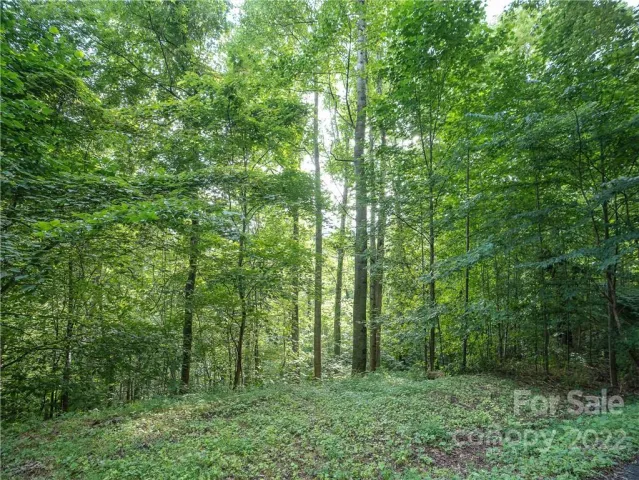 00 Ironwood Lane