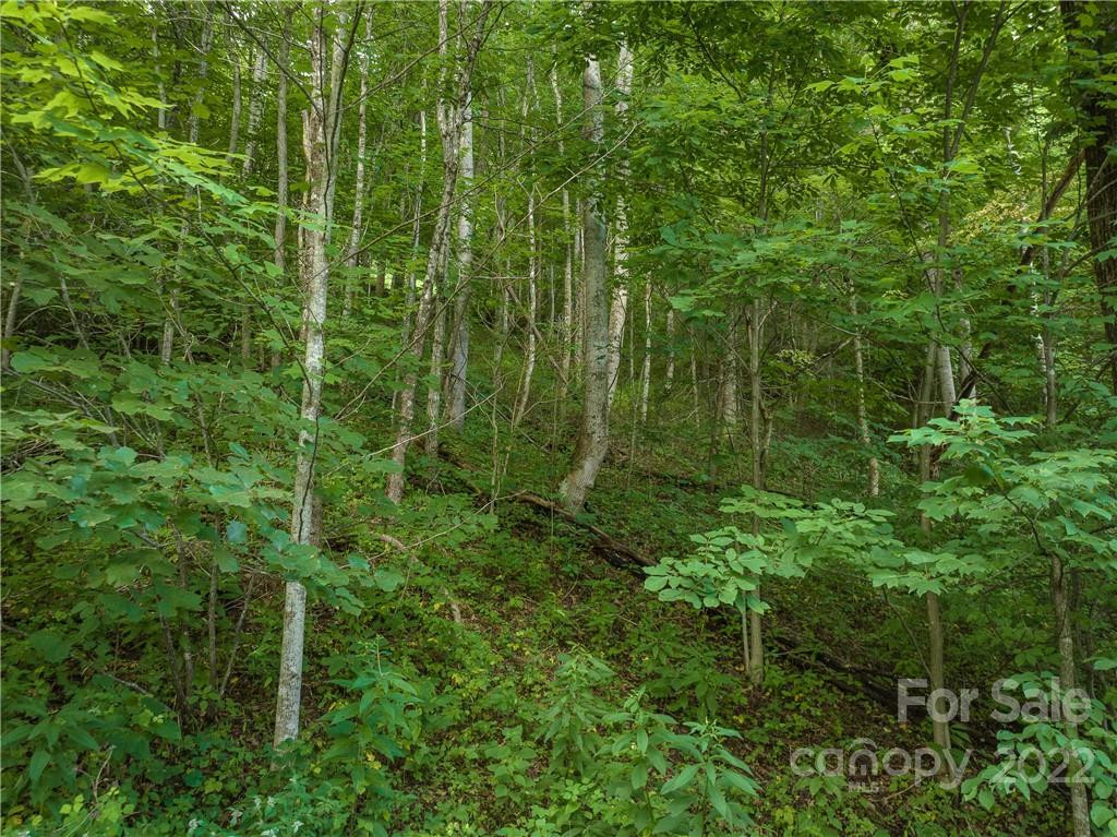 00 Ironwood Lane #12 - Photo 12