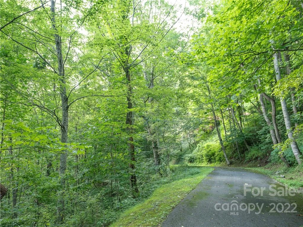 00 Ironwood Lane #12 - Photo 3