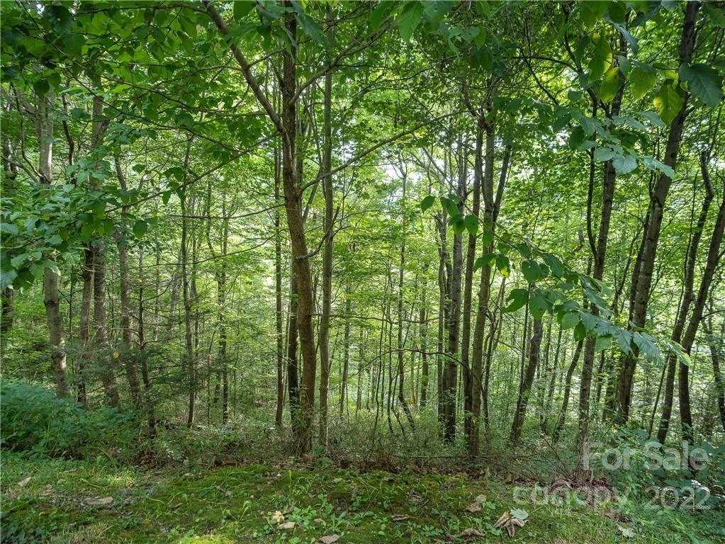 00 Ironwood Lane #12 - Photo 4