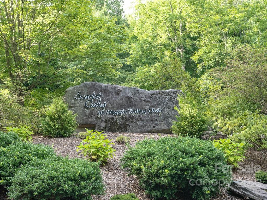 00 Ironwood Lane #12 - Photo 5