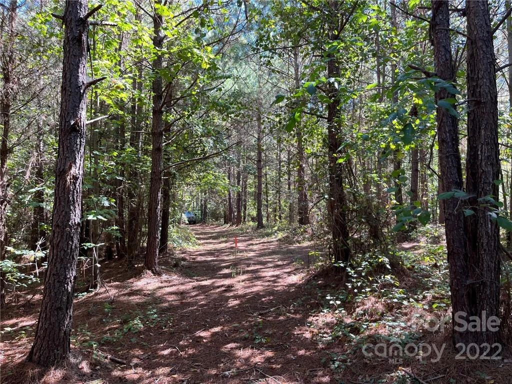 0 Pearidge Road #7 - Photo 2