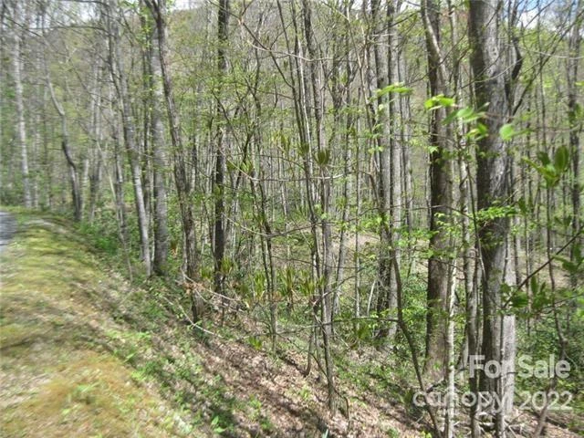 23 Wood Haven Lane #113 - Photo 2