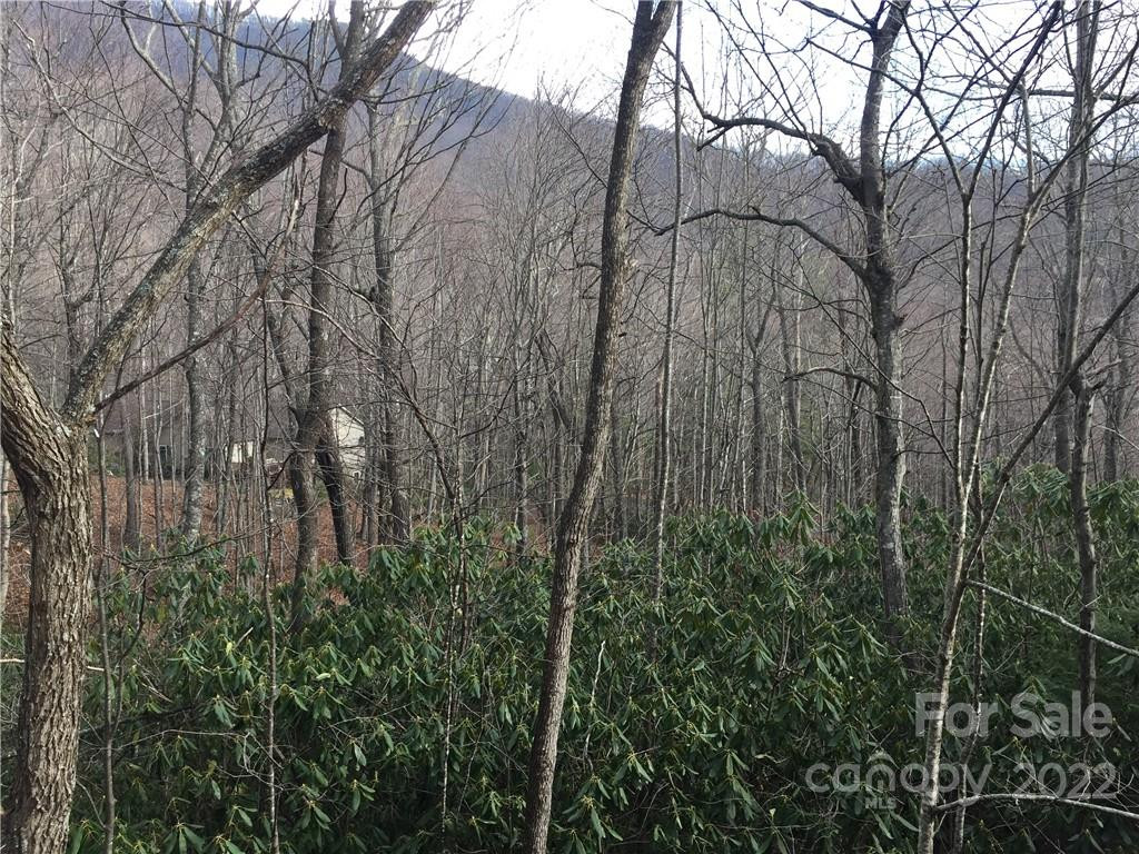 23 Wood Haven Lane #113 - Photo 11